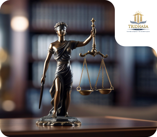 tridhasa law firm-profil